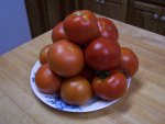Tomato, Park's Whopper Cr Improved, Fruit, July 12, 2007