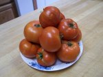 Tomato, Park's Whopper, July 28, 2005