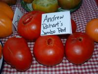 Andrew Rahart's Jumbo Red