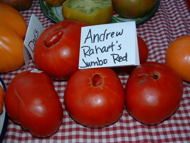 Andrew Rahart's Jumbo Red