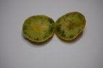 RogerDEmeraldGF4slice