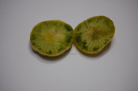 RogerDEmeraldGF4slice