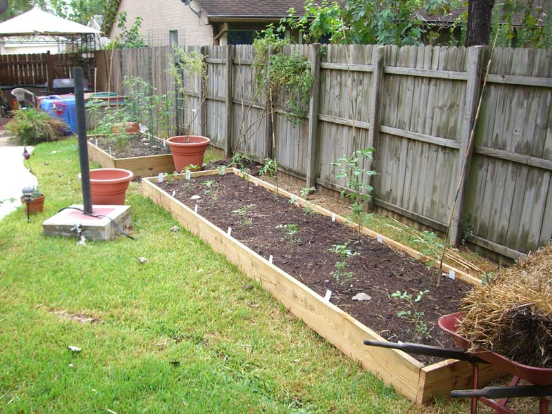 CIMG1376-newtomatobeds3