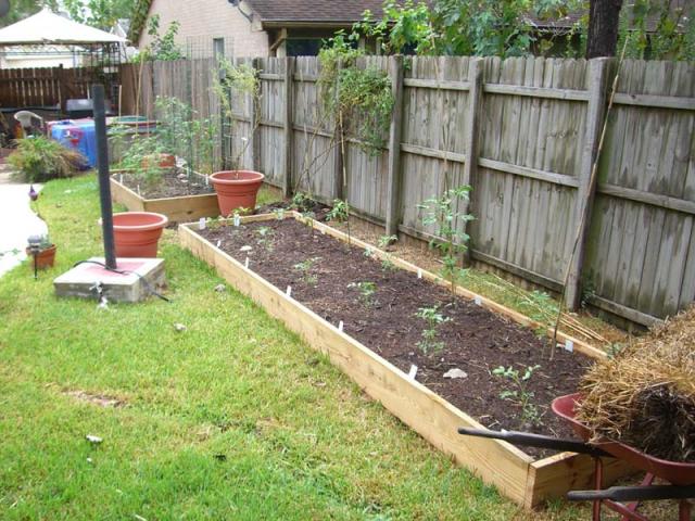 CIMG1376-newtomatobeds3