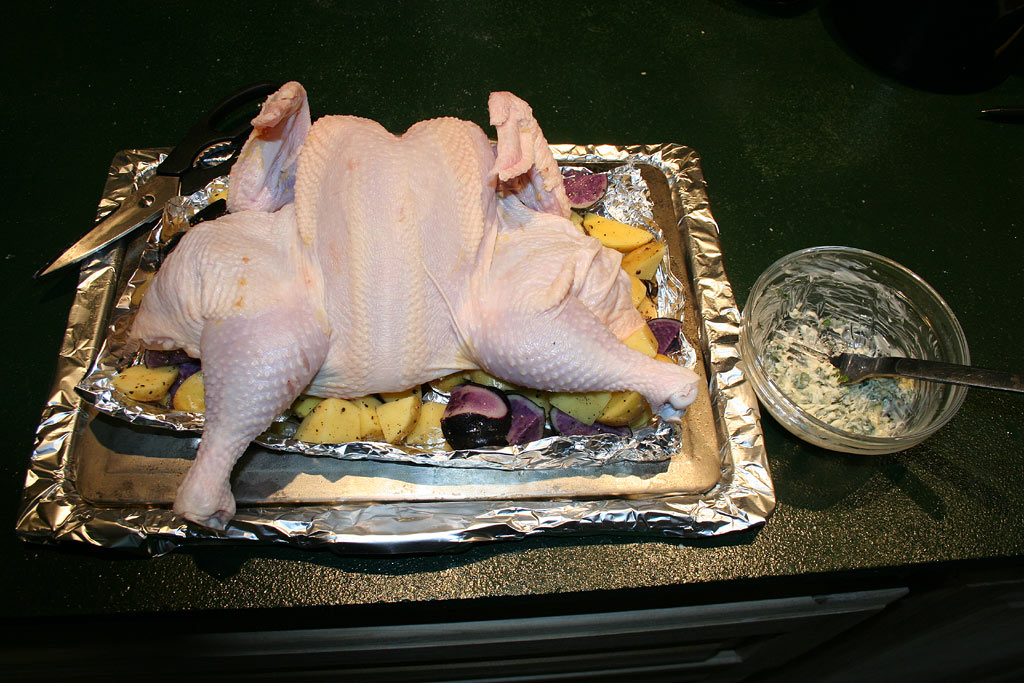 IMG_8040-chicken_butterflied.jpg