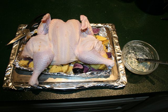 IMG_8040-chicken_butterflied.jpg