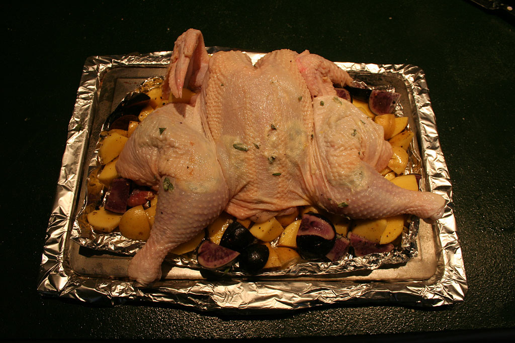 IMG_8042-chicken_prepped.jpg