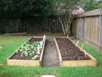 CIMG1383-maingarden_newbeds1