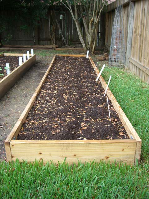 CIMG1385-maingarden_newbeds3