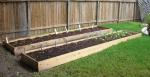 CIMG1389-maingarden_newbeds4