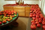 IMG_4396-tomatoes.jpg