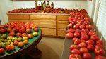 IMG_4396-tomatoes169wallpap.jpg
