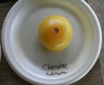 Cherokee Lemon.jpg