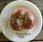 Dana's Dusky Rose.jpg