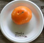 Jumbo Jim Orange.jpg
