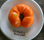 Kentucky Beefsteak.jpg