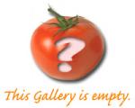 Empty Gallery -- Please delete this photo once you have added your own photos!