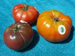 CIMG1368-tomatofest2.jpg