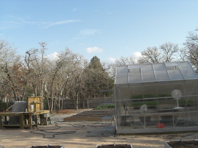 greenhouse 2011.02.22 010.JPG