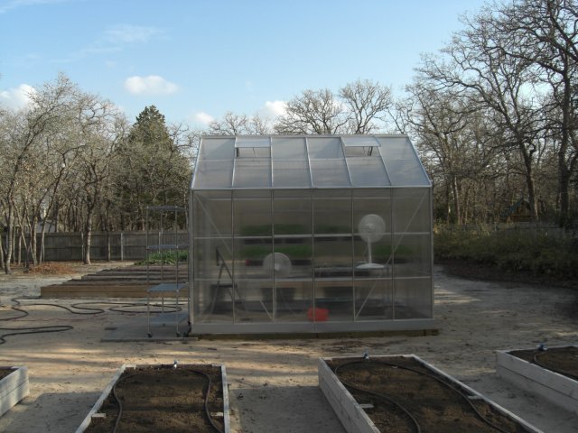 greenhouse 2011.02.22 012.JPG