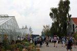 IMG_5944-greenhouses-abouttorain.jpg